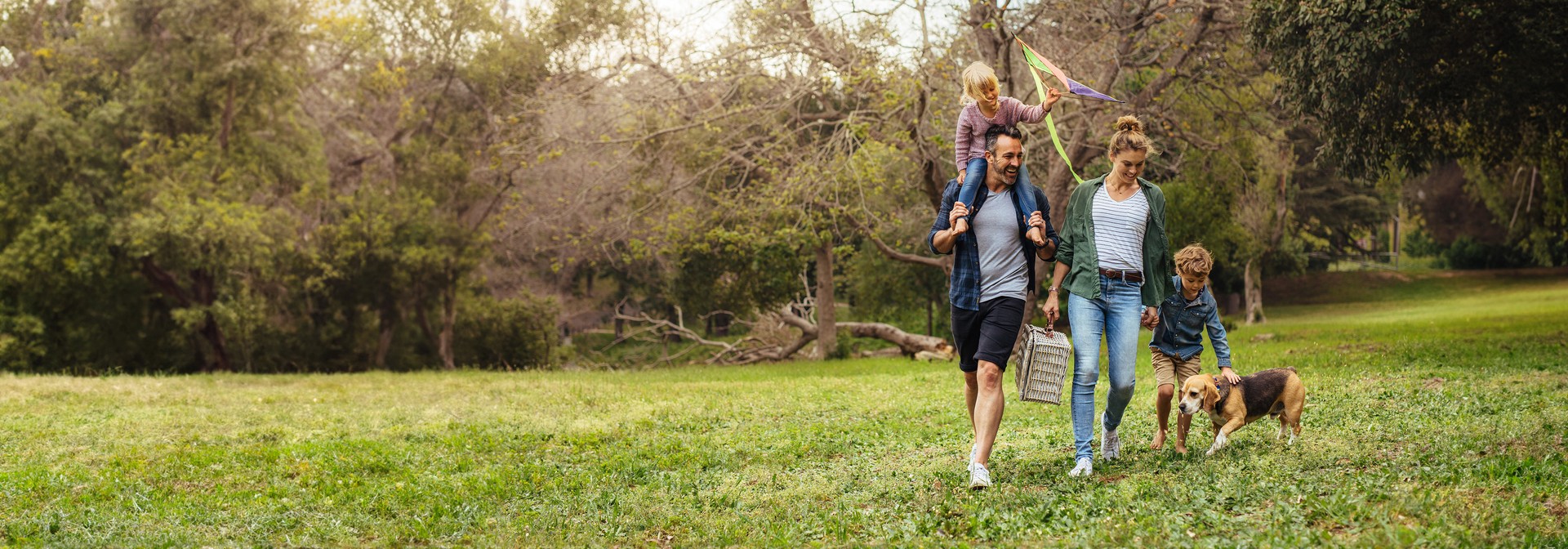 Best Overall Pet Insurance 2024